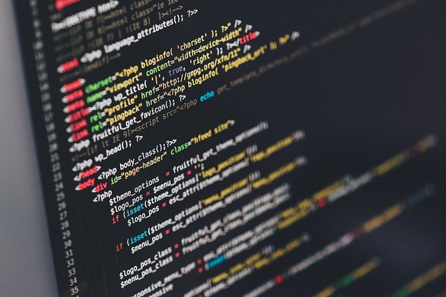 <span style="font-weight: bold;">IT &amp; Software&nbsp;</span>